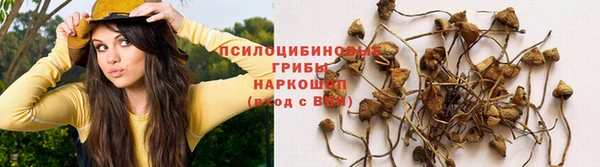кокс Алексин