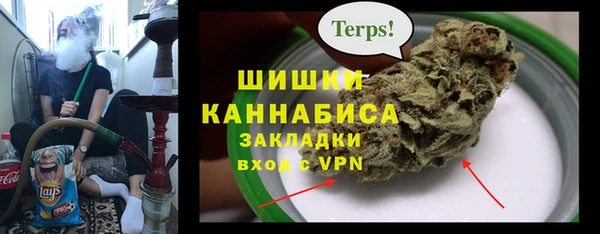 шишки Алзамай