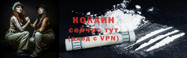кокс Алексин