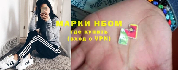 шишки Алзамай