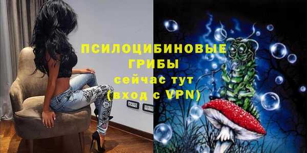шишки Алзамай