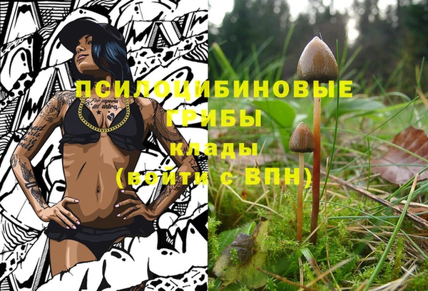 стафф Абаза