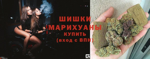 шишки Алзамай