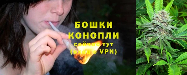 шишки Алзамай