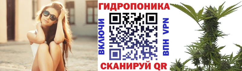 Бошки Шишки тримм  площадка телеграм  Зея  закладка 